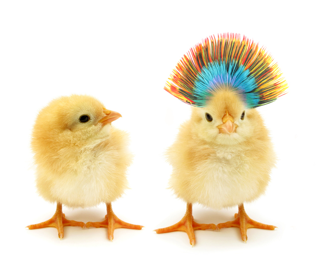 Two chicks standing next to each other, one with a head dress on